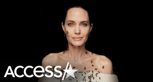 Angelina Jolie chụp hình cùng ong mà không cần mặc đồ bảo hộ