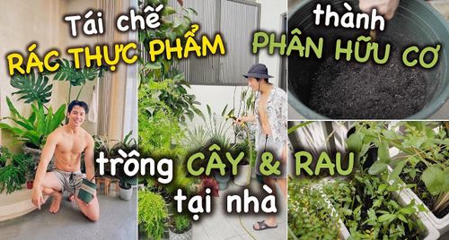 Thùng rác high-tech 36 triệu, biến đồ ăn thừa thành phân bón hữu cơ để trồng rau.