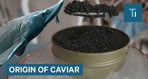 Tại sao trứng cá muối lại đắt như vậy ?