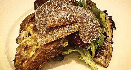 Nấm Truffle là gì và vì sao món ăn này đắt hơn vàng?