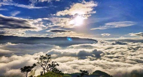 Hè này đi Quảng Ngãi săn mây
