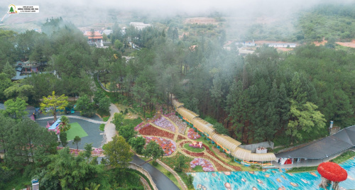 Một ngày lạc giữa Rừng Thông Núi Voi, nơi bình yên chạm tới từng hơi thở