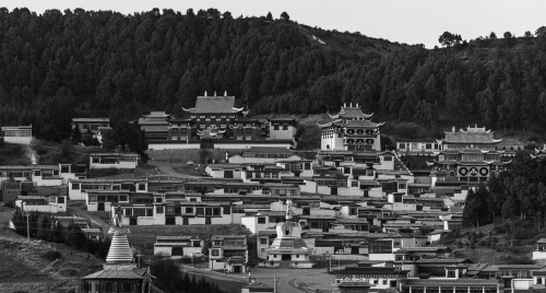 Tây Tạng: Hành trình giữa linh thiêng và biến đổi