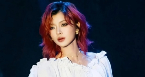 Đồng Ánh Quỳnh sau Chị đẹp