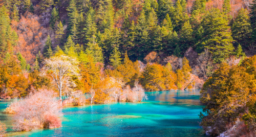 Top chùm tour dưới 20 triệu – Vi vu cùng các “huyền thoại mùa thu”