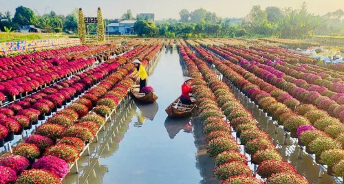 Festival Hoa – Kiểng Sa Đéc: Bước tiến mới trong phát triển du lịch văn hóa – nông nghiệp