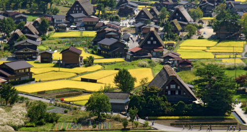 Làng cổ Shirakawa-go và lời nguyện cầu trong tuyết trắng