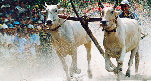 An Giang thắp sáng giá trị đoàn kết, nâng cao đời sống đồng bào dân tộc