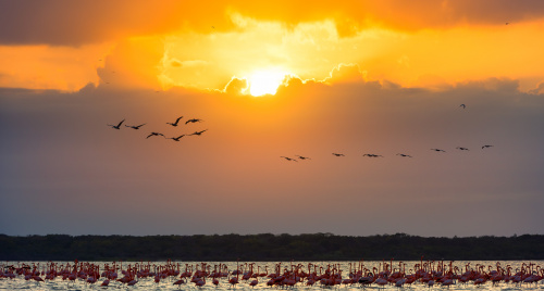 Colombia – Bức tranh thiên nhiên kỳ vĩ qua các Vườn Quốc gia Tự nhiên