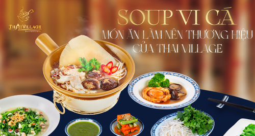 Nhà Hàng Vi Cá Bào Ngư “Đáng Tiền Nhất” Quận 1