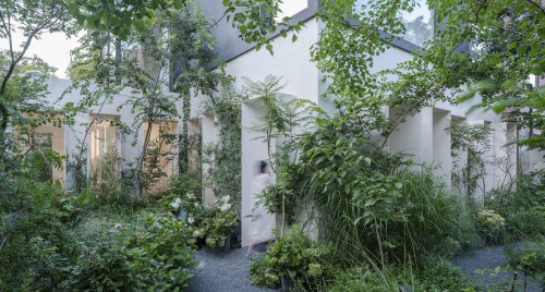 Forest Villa: Tổ ấm tĩnh tại trong vòng tay thiên nhiên