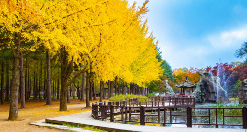 Top 4 tour mùa thu 2025 không thể bỏ lỡ – Trải nghiệm khó quên
