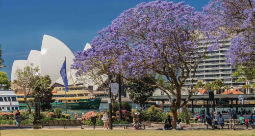 Du lịch Úc: Khám phá các điểm đến thú vị và gợi ý lưu trú lý tưởng