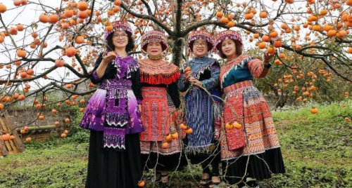 Tung tăng một miền váy áo Mộc Châu