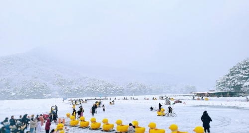 Top 4 lễ hội mùa đông Hàn Quốc hấp dẫn nhất