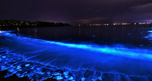Hiện tượng biển phát sáng độc đáo: Bạn đã bao giờ thấy chưa?
