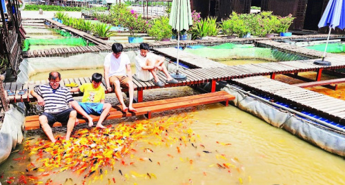 TP Cần Thơ: Người dân địa phương là linh hồn của du lịch cộng đồng