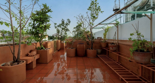 Vườn sân thượng: Ốc đảo trên cao