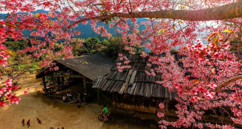 Kỳ Sơn - Hành trình chạm mây nơi miền Tây xứ Nghệ