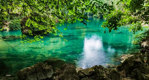 Du lịch Cao Bằng: Ngược dòng lịch sử về suối Lê-Nin