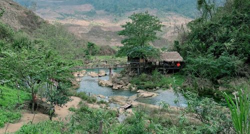 Du lịch Mộc Châu: Thời điểm lý tưởng nhất với mùa hoa nở “trắng trời”