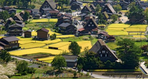 Làng cổ Shirakawa-go và lời nguyện cầu trong tuyết trắng