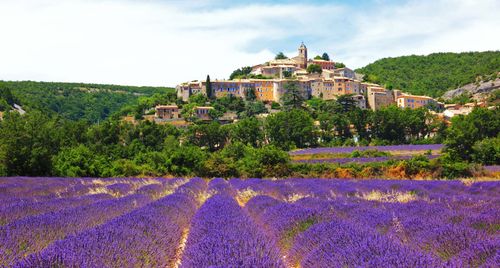 10 xu hướng du lịch năm 2026: khi cá nhân hóa trở thành trung tâm