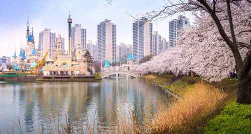 Top khách sạn Seoul thuận tiện ngắm hoa anh đào đẹp nhất 2026