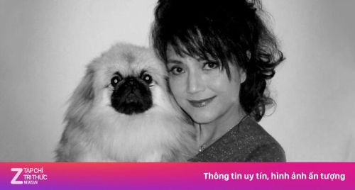 Diễn viên 'Ỷ Thiên Đồ Long Ký' Thi Minh qua đời