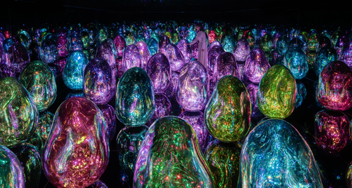 Nên chọn teamLab Tokyo, Osaka hay Kyoto khi đi du lịch Nhật Bản?