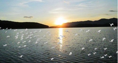 Yên Thành “quê lúa” với những điểm đến du lịch tâm linh và sinh thái trải nghiệm hấp dẫn