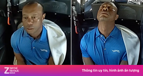 Tiger Wood cảm thấy 'xấu hổ và nhục nhã' khi bị bắt