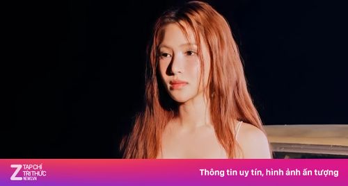 Ai đứng sau 25.000 lượt phẫn nộ nhắm vào Hương Tràm