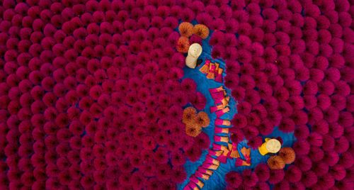 Làng hương Quảng Phú Cầu: Hương sắc trăm năm