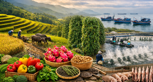 Xuất khẩu nông, lâm, thủy sản quý I/2026: Tăng trưởng trong thế phân hóa và yêu cầu nâng cao chất lượng