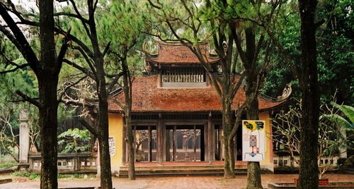 Di tích Côn Sơn – Kiếp Bạc: Trầm mặc qua bảy thế kỷ