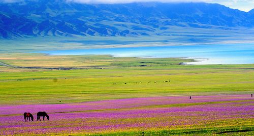 Trải nghiệm mùa hè rực rỡ với tour Bắc Tân Cương trọn gói