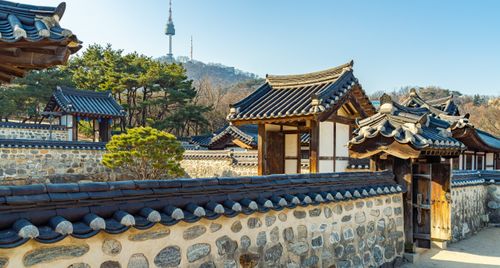 Top 9 tour Hàn Quốc tuyến Seoul – đảo Nami được yêu thích nhất 2026