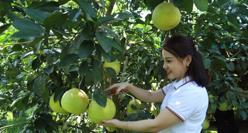 Nông thôn mới Hà Tĩnh: Điểm tựa hội nhập và cất cánh