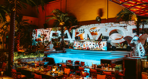 Palmora – khi ẩm thực, giải trí và phong cách sống giao thoa giữa lòng Sài Gòn