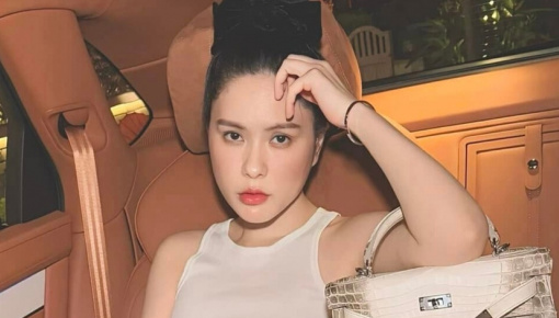 Túi 'Hermès bạch tạng' của Đoàn Di Băng