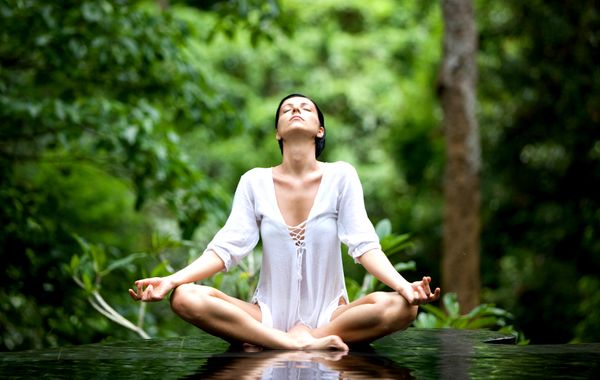 Trải nghiệm "tắm rừng" kiểu Nhật Bản