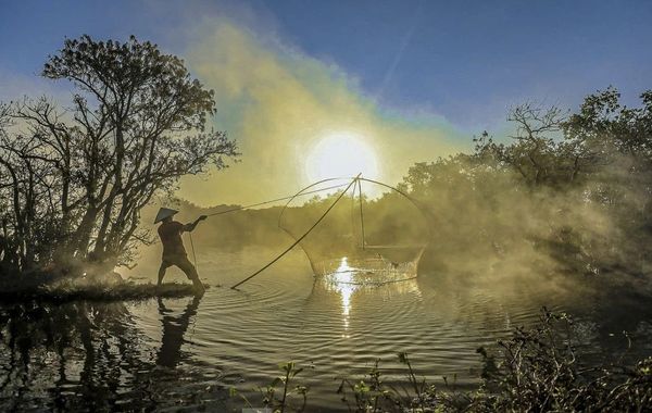Đẹp mê mẩn rừng ngập mặn Huế mùa thay lá