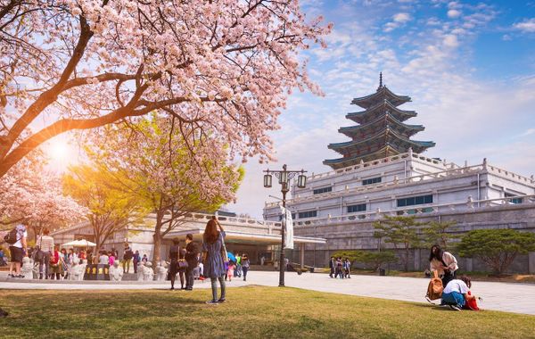 10 điểm đến quốc tế dịp Tết 2025 được khách Việt tìm kiếm nhiều nhất