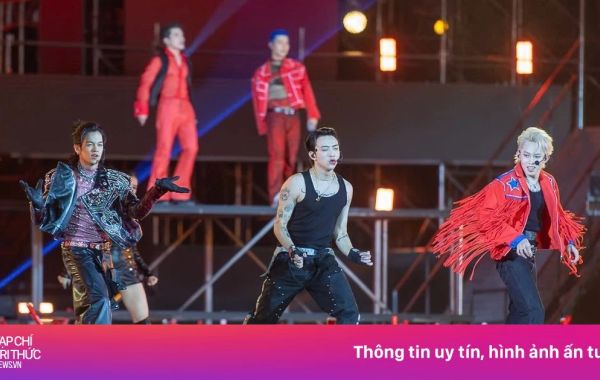 Viện trưởng Viện Văn hóa: Concert Anh trai dự kiến thu 340 tỷ đồng
