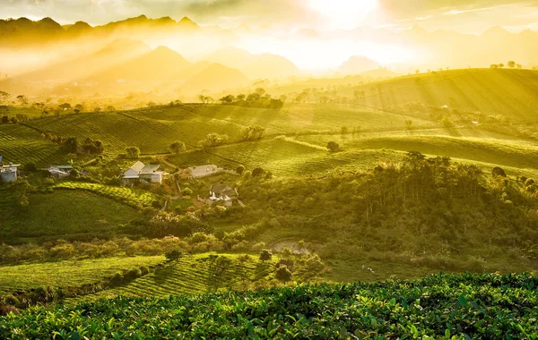 Địa phương Việt Nam từng được vinh danh "hàng đầu thế giới", được ví như viên ngọc xanh, mùa nào cũng đẹp