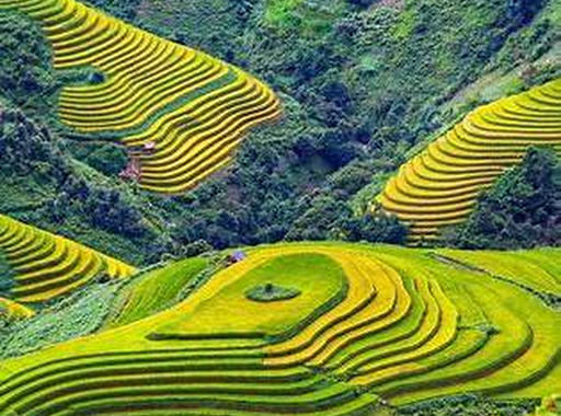 Núi rừng Tây Bắc - Nơi mây trôi trên những bậc thang của núi