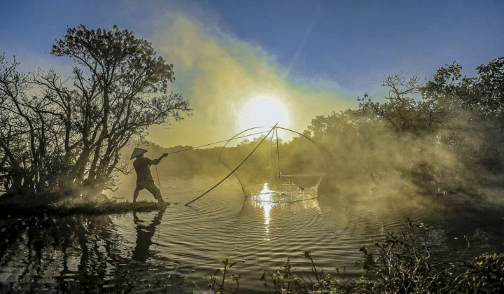 Đẹp mê mẩn rừng ngập mặn Huế mùa thay lá