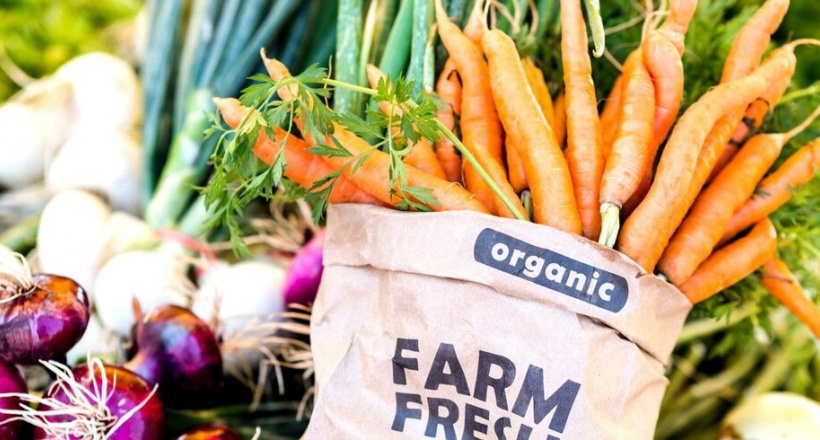 Lợi ích của thực phẩm hữu cơ trong việc giảm thiểu khả năng mắc bệnh ung thư