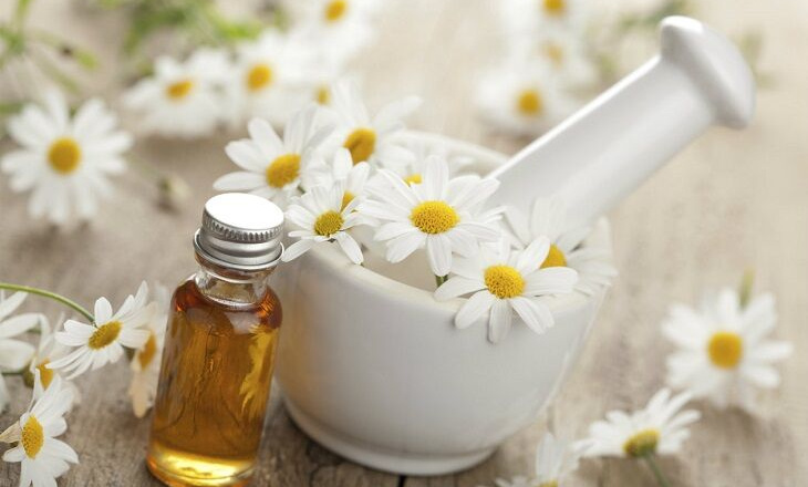 Bí quyết làm đẹp da từ những cánh hoa cúc mỏng manh